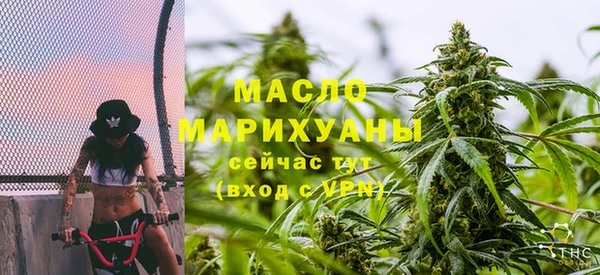 спиды Богородицк