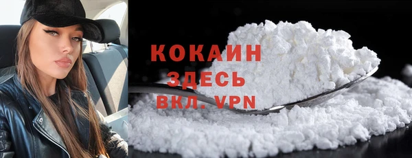 спиды Богородицк