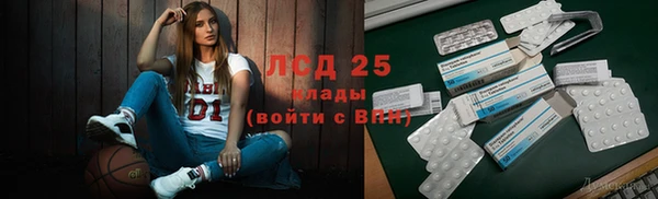 спиды Богородицк
