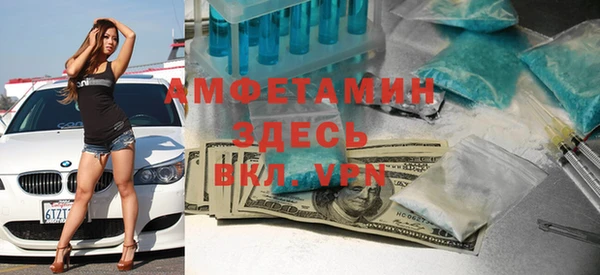спиды Богородицк