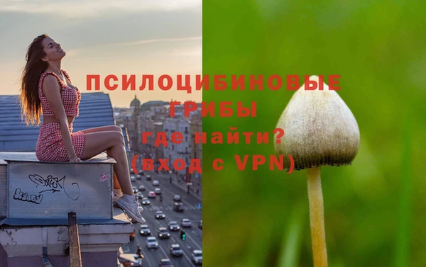 спиды Богородицк
